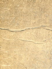 texture old yellow paper background