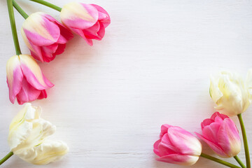 Light and pink tulips on white wooden background