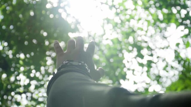 Beauty shot of hand moving reaching against sun flare and sky with forest tree in the background in slow motion.
