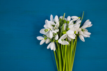 A bouquet of delicate snowdrops on a blue wooden background. Flat lay.