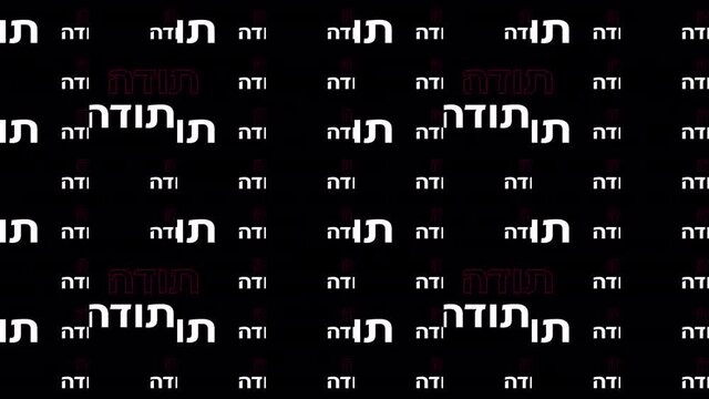 Thank you in hebrew text transition with alpha channel