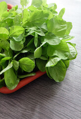 Closer look of fresh and raw spinach.
