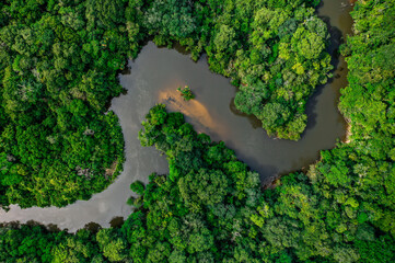 rio en la selva