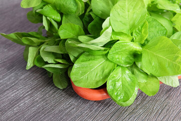 Closer look of fresh and raw spinach.
