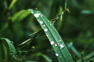 nach jedem Regen kommt auch immer wieder Sonnenschein