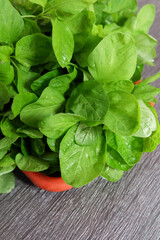 Closer look of fresh and raw spinach.
