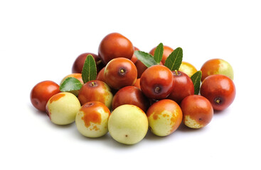 Jojoba fruits with leaves on white backgrounds