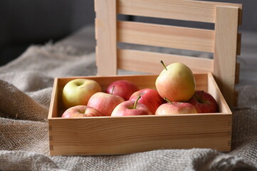  There is a wooden box with apples on the burlap. Image with selective focus.