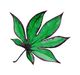 Leaf floral botanical on an isolated white background, watercolor illustration element