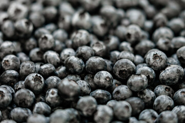 background of blueberries. Fresh Bilberries.
