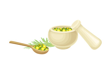 Mortar and Pestle with Fresh Wormwood or Southernwood Plant Vector Composition