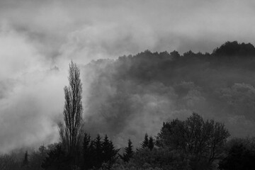 Forêt et colline dans le brouillard inquiétant d'une journée sombre d'automne dans la nature sauvage des Cévennes en France.