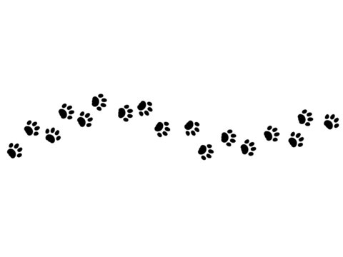 animal paw footprint vector walk