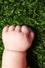 hand of a child on the green grass close up