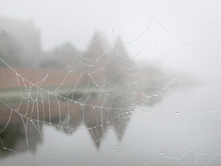 Widok zamku w Malborku i jego odbicia w rzece Nogat przez sieć pająka z kropelkami rosy