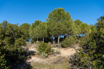 Stock photo of beautiful evening in the countryside.