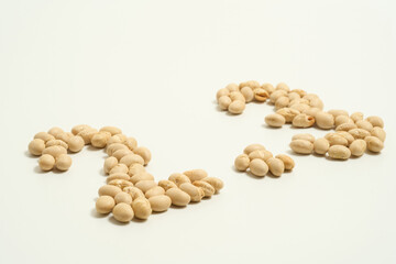 大豆で書いた2.3の数字