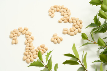 大豆で書いた2.3の数字