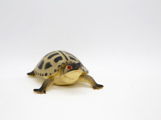 Sea turtle. Realistic toy turtle. Plastic turtle. Reptile. Oviparous animal. Animal. Isolated.