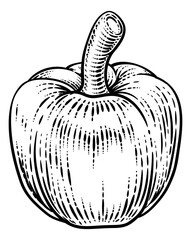 Pepper vegetable illustration in a vintage retro woodcut etching style.