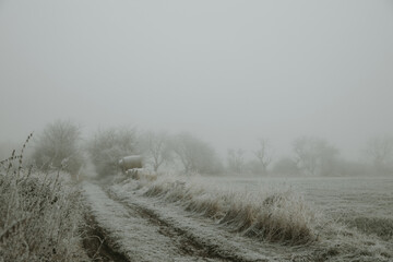 Dirty road and straw bales in the distance in tall grass next to the field during the freezing foggy morning