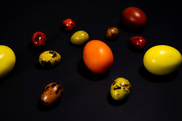 Chicken and quail eggs on a black background. Painted eggs in yellow and brown for the Easter holiday. Eggs with small stars. Front view and copy space