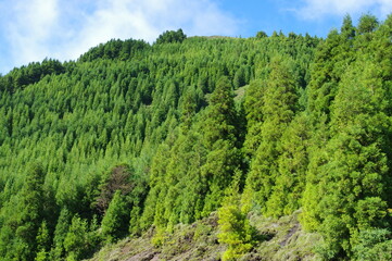Azores islands, natural landscapes in Sao Miguel