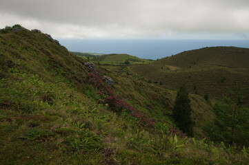 Fototapeta na wymiar Azores islands, natural landscapes in Sao Miguel