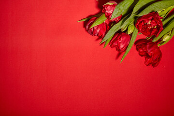 Bouquet of red tulips. Concept for Valentine's Day, womens day and other romantic events. Top view, close-up, flat lay