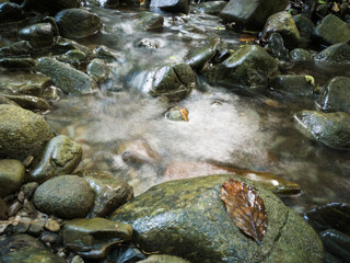 Intimate landscape detail of shallow mountain creek in forest, wet stones in river bed, wet leaf on stone and abstract clear moving water, beautiful nature