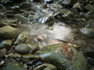 Intimate landscape detail of shallow mountain creek in forest, wet stones in river bed, wet leaf on stone and abstract clear moving water, beautiful nature