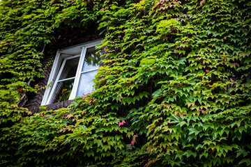 Green building concept with vibrant green leafes and some pink ones selective focus