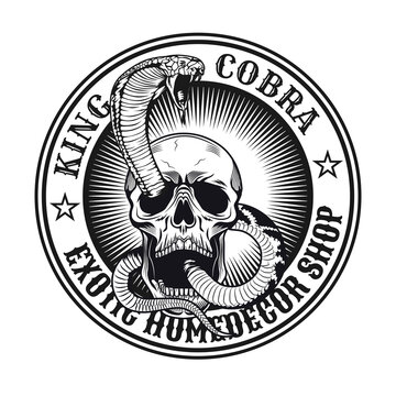 Monochrome aggressive king cobra in attack emblem. Vintage design elements with snake attacking from human skull and text. Gothic or horror concept for label, stamp, tattoo template