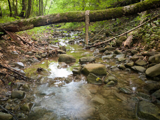 Landscape with shallow mountain creek in forest, wet stones in river bed and abstract clear moving water, beautiful nature