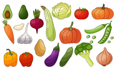 Vegetables vector set isolated on white background. Nature illustration.