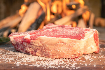 Closeup of a beautiful italian steak ready to be cooked on a barbeque. Appetizing piece of meat next to a pyre of firewood ready to be set on fire. Bbq, recreation, picnic, outdoors cooking concept.