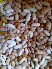 Mixed Dried Beans Close-Up