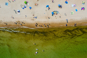 Crowded beach during summertime top down aerial view