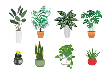 Hand drawn set of different green plants in pots. Home decor, cozy plant, botanical leaves. Decorative floral art collection isolated on white background. Colorful greenery vector doodle illustration