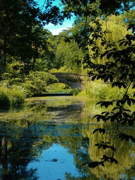 River Cerne in Dorset, England, beautiful river with bridge in the background, reflections in the water. English countryside green and springtime. A secret garden. 