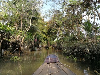 Green and lush backwaters of the river Mekong with a dettail of a wooden row boat