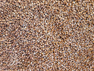 buckwheat groats background