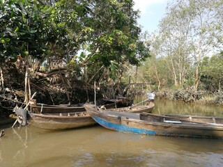 Green and lush backwaters of the river Mekong with a dettail of a wooden row boat