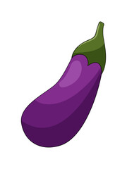 Purple eggplant vector illustration isolated on white background.