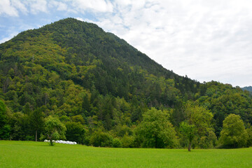 The summer landscape near the village of Zatolmin in Tolmin municipality, Primorska, Slovenia. Part of the Triglav National Park

