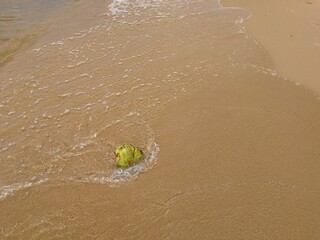 Black pepper farm in Vietnam and pepper berries closeup