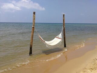 Black pepper farm in Vietnam and pepper berries closeup