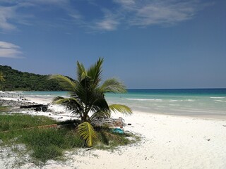 Phu Qoc island beach with white sand and palms in Vietnam
