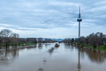  Bäume im Wasser, Hochwasser in Mannheim Germany, Hochwasserabsperrung, Trees in the water, flood in Mannheim Germany, flood barrier, TV tower, telecommunications tower 