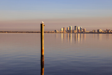 Skyscrapers in background across the bay